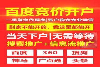 搜索引擎营销（SEM）服务案例分享